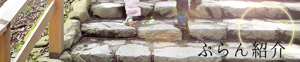 ぷらん紹介